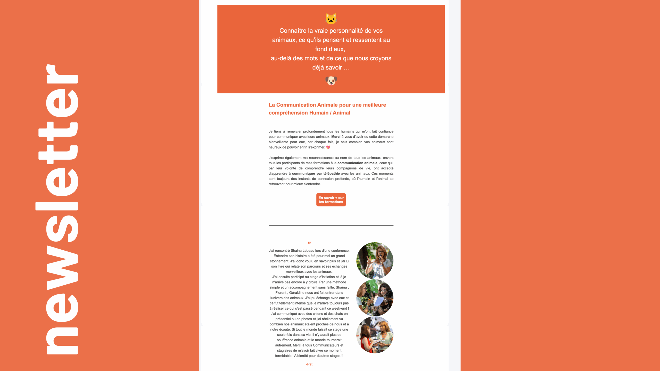Campagne d’emailing professionnelle pour fidéliser la clientèle et diffuser du contenu pertinent